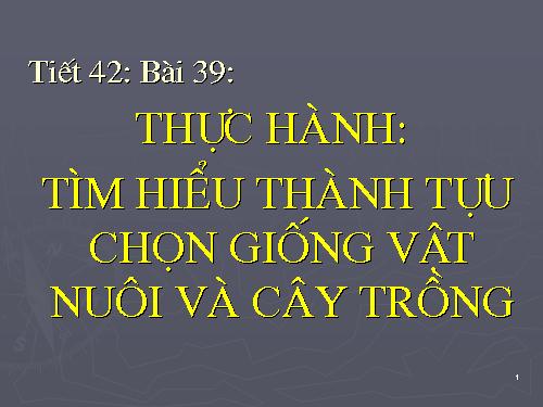 Bài 39. Thực hành: Tìm hiểu thành tựu chọn giống vật nuôi và cây trồng