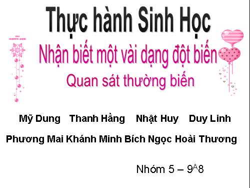 Bài 26. Thực hành: Nhận biết một vài dạng đột biến