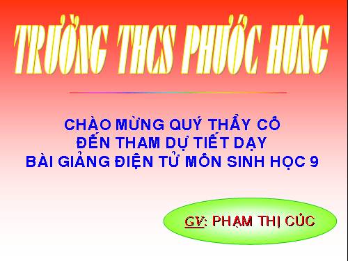 Bài 50. Hệ sinh thái