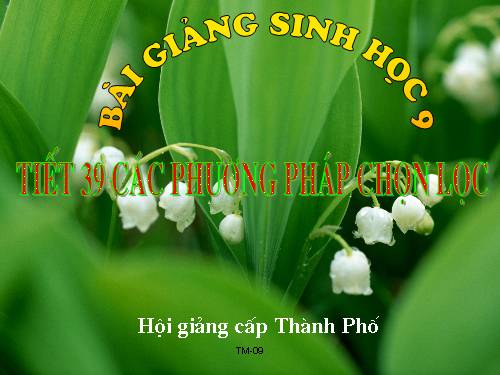 Bài 36. Các phương pháp chọn lọc