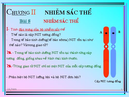 Bài 8. Nhiễm sắc thể