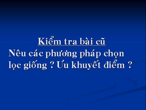 Bài 37. Thành tựu chọn giống ở Việt Nam