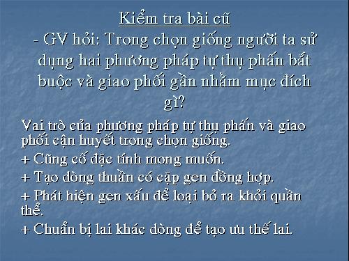 Bài 35. Ưu thế lai