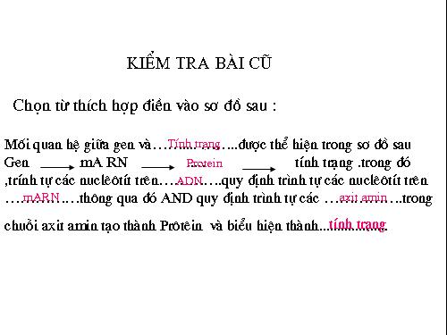 Bài 21. Đột biến gen