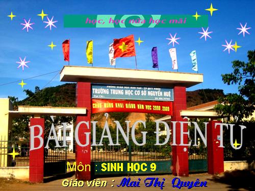 Bài 24. Đột biến số lượng nhiễm sắc thể (tiếp theo)