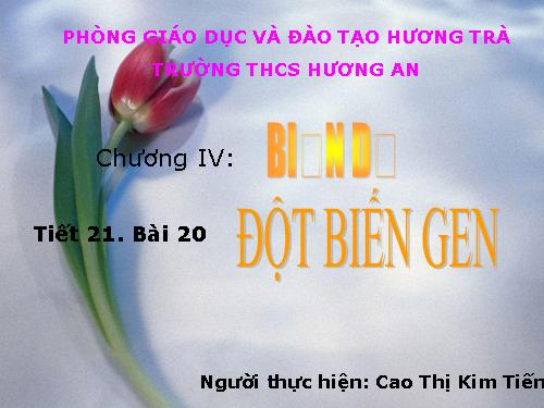 Bài 21. Đột biến gen