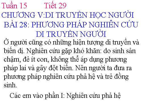 Bài 28. Phương pháp nghiên cứu di truyền người