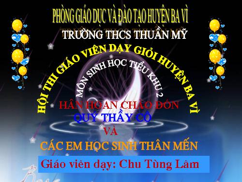 Bài 28. Phương pháp nghiên cứu di truyền người