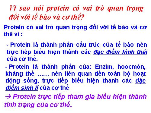 Bài 19. Mối quan hệ giữa gen và tính trạng