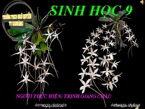 Bài 14. Thực hành: Quan sát hình thái nhiễm sắc thể