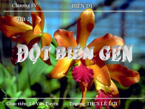 Bài 21. Đột biến gen