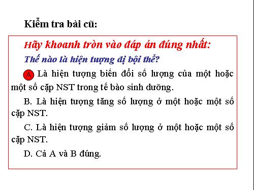 Bài 24. Đột biến số lượng nhiễm sắc thể (tiếp theo)