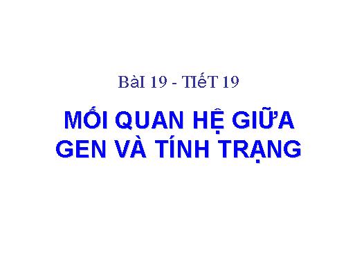 Bài 19. Mối quan hệ giữa gen và tính trạng