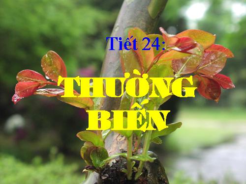 Bài 25. Thường biến