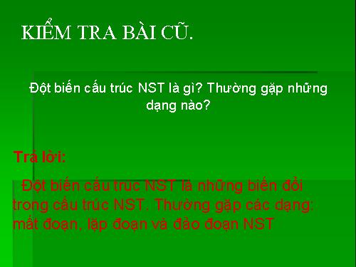 Bài 23. Đột biến số lượng nhiễm sắc thể