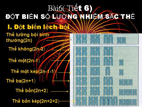 Bài 23. Đột biến số lượng nhiễm sắc thể