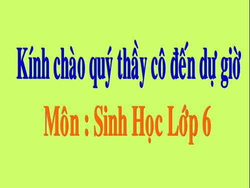 Bài 19. Mối quan hệ giữa gen và tính trạng