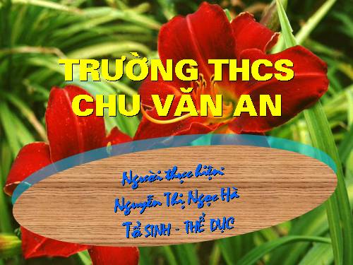 Bài 28. Phương pháp nghiên cứu di truyền người