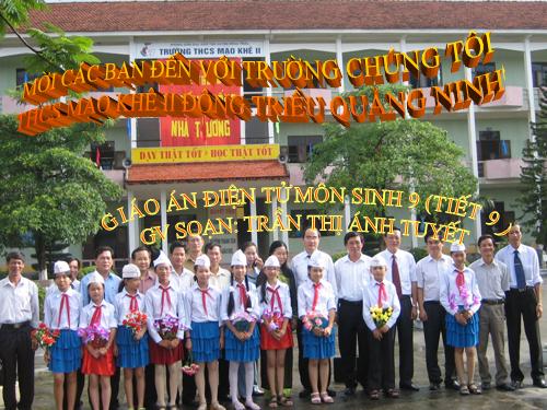 Bài 19. Mối quan hệ giữa gen và tính trạng