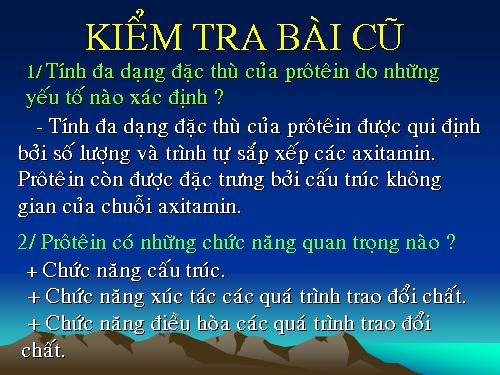 Bài 19. Mối quan hệ giữa gen và tính trạng