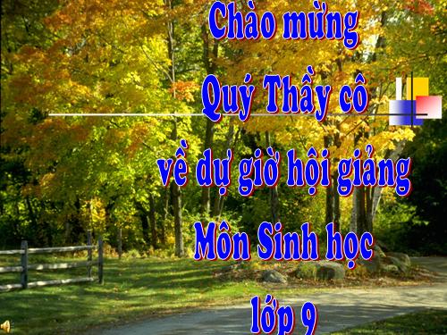 Bài 12. Cơ chế xác định giới tính