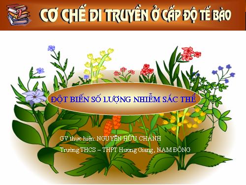 Bài 23. Đột biến số lượng nhiễm sắc thể