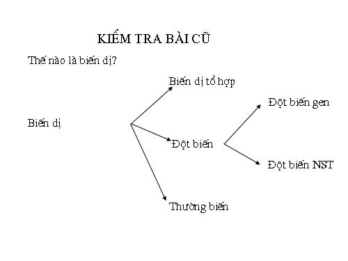 Bài 21. Đột biến gen