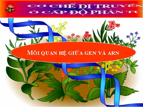 Bài 17. Mối quan hệ giữa gen và ARN