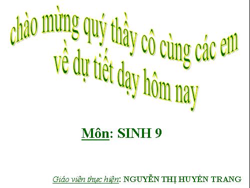 Bài 19. Mối quan hệ giữa gen và tính trạng