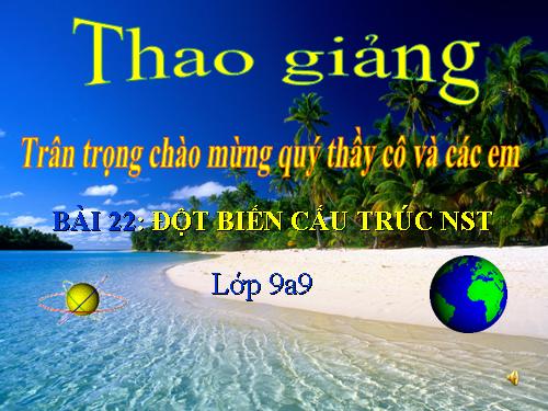 Bài 22. Đột biến cấu trúc nhiễm sắc thể