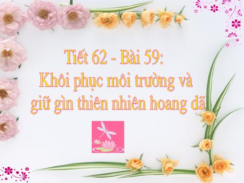 Bài 59. Khôi phục môi trường và gìn giữ thiên nhiên hoang dã