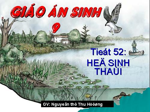 Bài 50. Hệ sinh thái