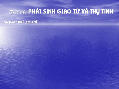 Bài 11. Phát sinh giao tử và thụ tinh