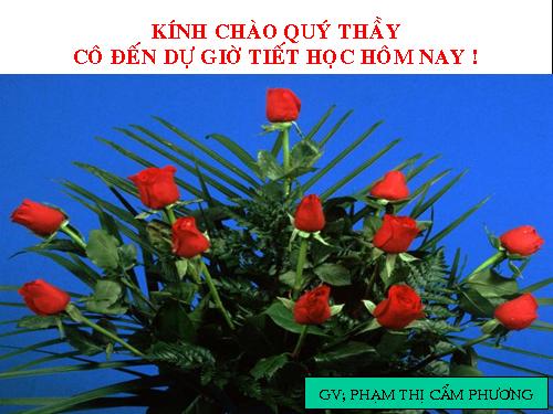 Bài 19. Mối quan hệ giữa gen và tính trạng