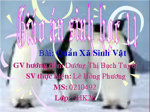 Bài 49. Quần xã sinh vật