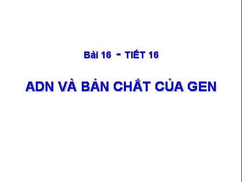 Bài 16. ADN và bản chất của gen