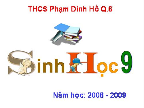 Bài 10. Giảm phân