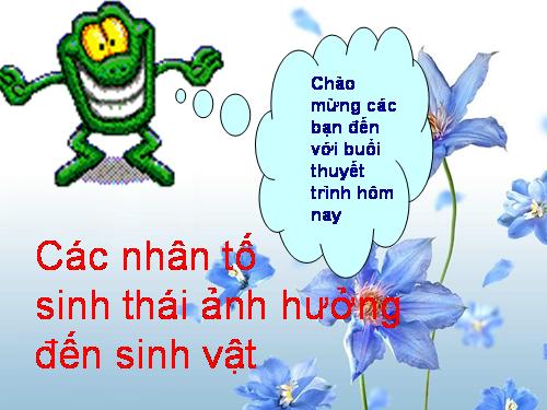 ĐỘ ẨM