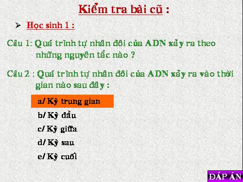 Bài 17. Mối quan hệ giữa gen và ARN