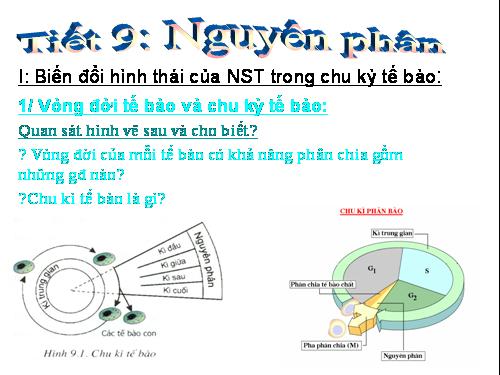 Bài 9. Nguyên phân