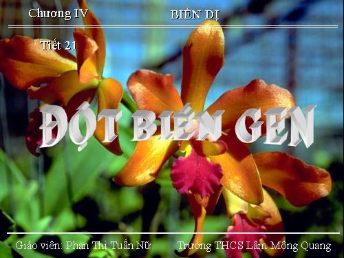 Bài 21. Đột biến gen