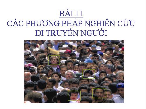 Bài 28. Phương pháp nghiên cứu di truyền người