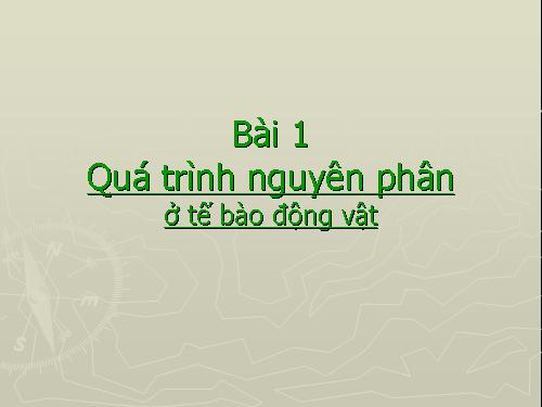 Bài 9. Nguyên phân