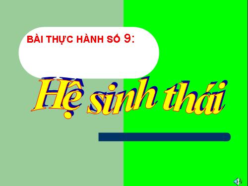 Bài 50. Hệ sinh thái