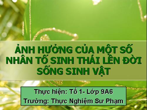 Bài 41. Môi trường và các nhân tố sinh thái