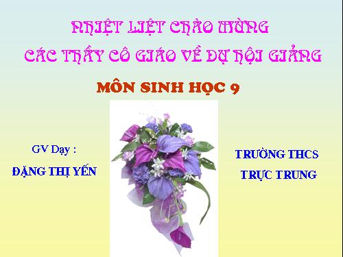 Bài 41. Môi trường và các nhân tố sinh thái