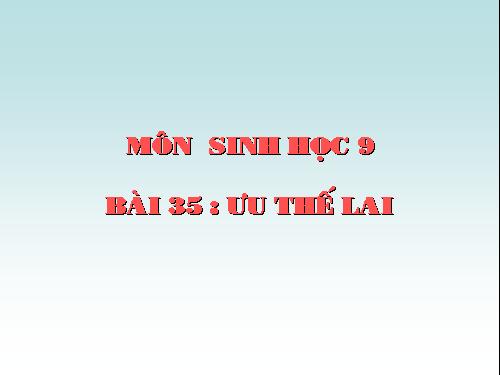 Bài 35. Ưu thế lai