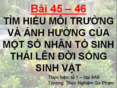 Bài 45. Thực hành: Tìm hiểu môi trường và ảnh hưởng của một số nhân tố sinh thái lên đời sống sinh vật