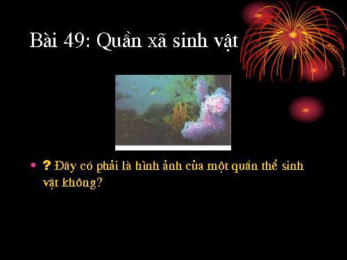 Bài 49. Quần xã sinh vật