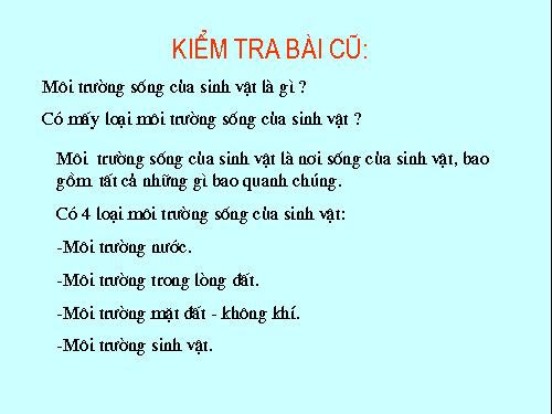 Bài 47. Quần thể sinh vật